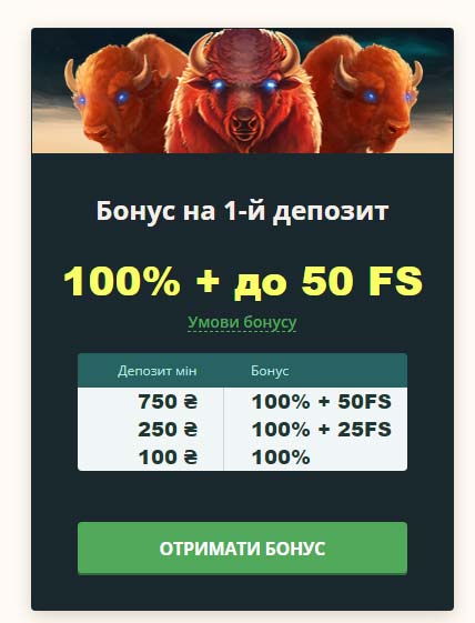netgame казино бонус на перший депозит 100% + 50 FS